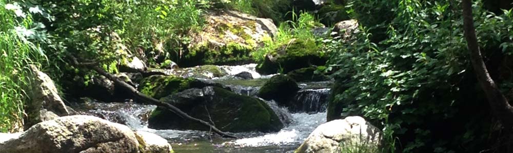 Denver-Individual-Therapy