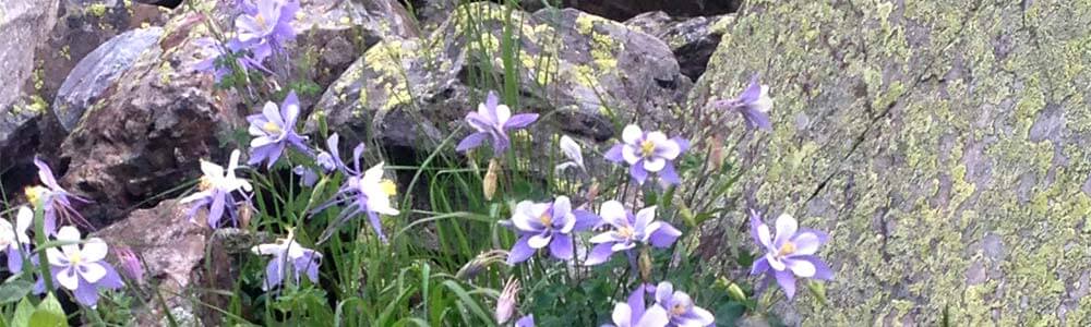 ocd treatment in denver from scott kohner msw lcsw