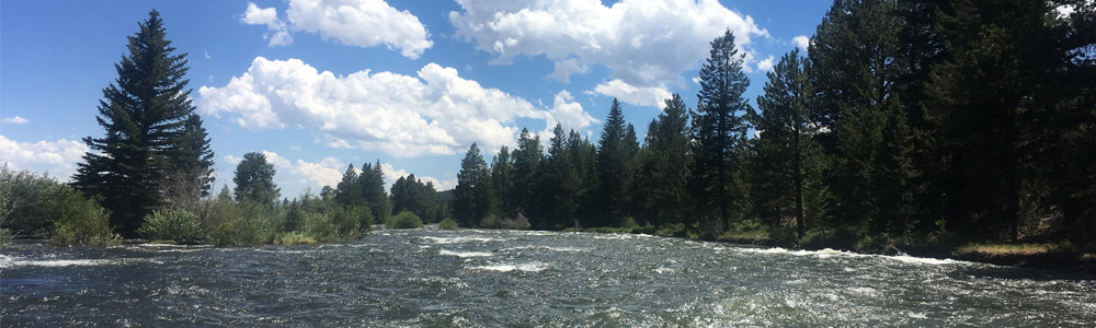 depression counseling denver by scott kohner msw lcsw